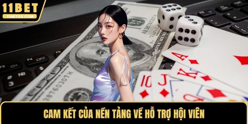 Cam kết của nền tảng về hỗ trợ hội viên